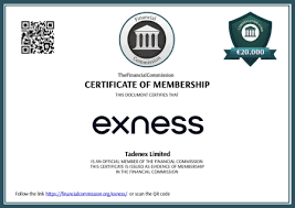 Resolving Your Exness Login Error Common Issues and Solutions